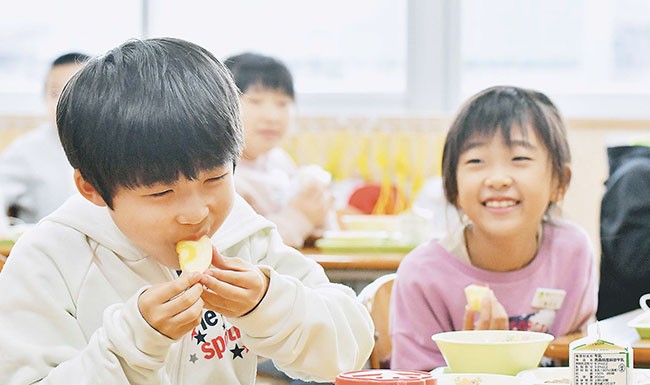 給食で毎日出る皮付きリンゴを食べる２年生（青森県鶴田町で）