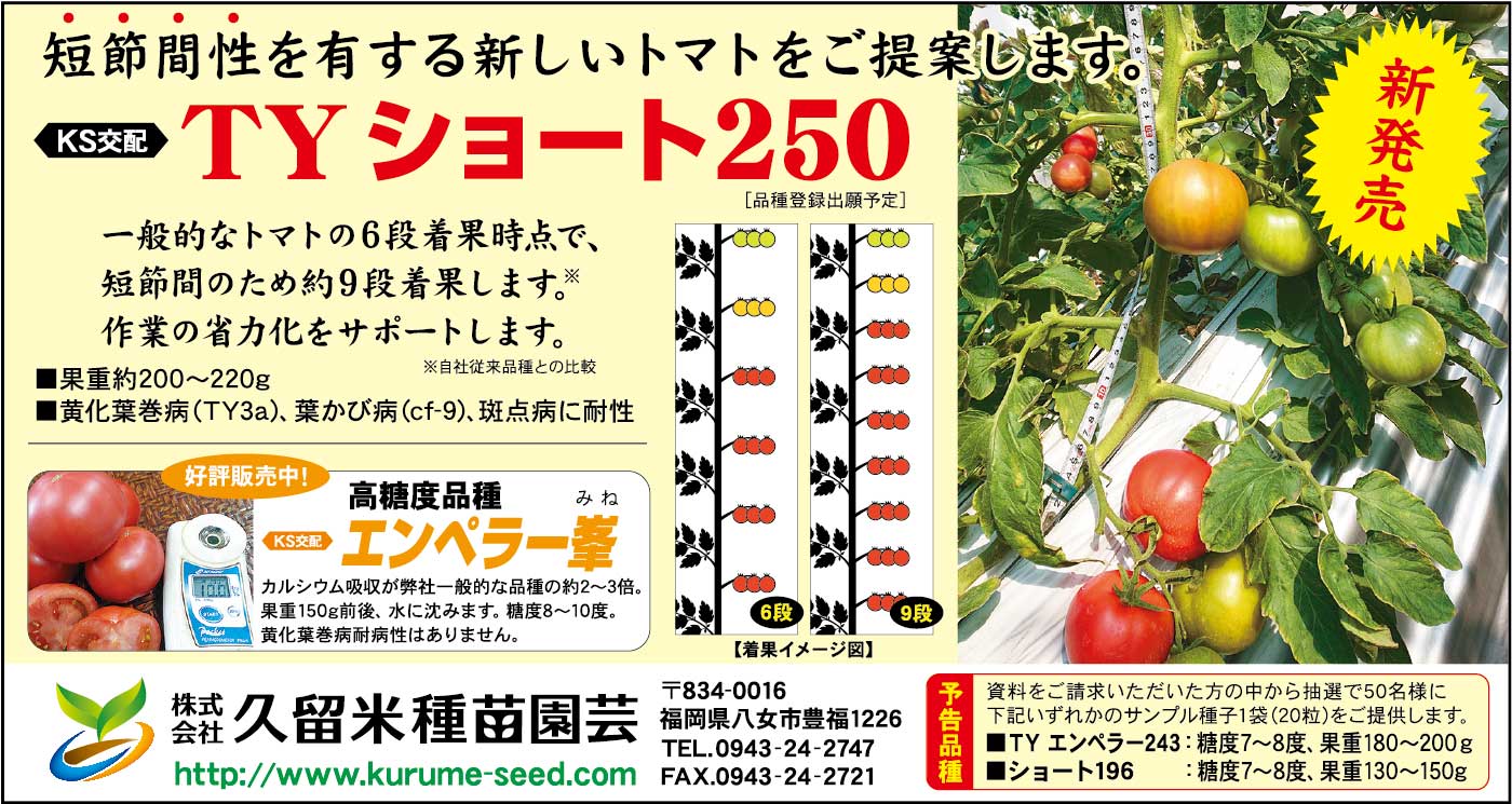 広告画像：久留米種苗園芸