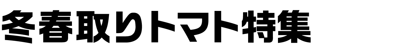 冬春取りトマト特集