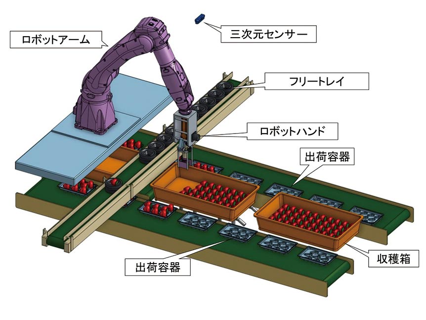 イチゴ選別パック詰めロボットの構成