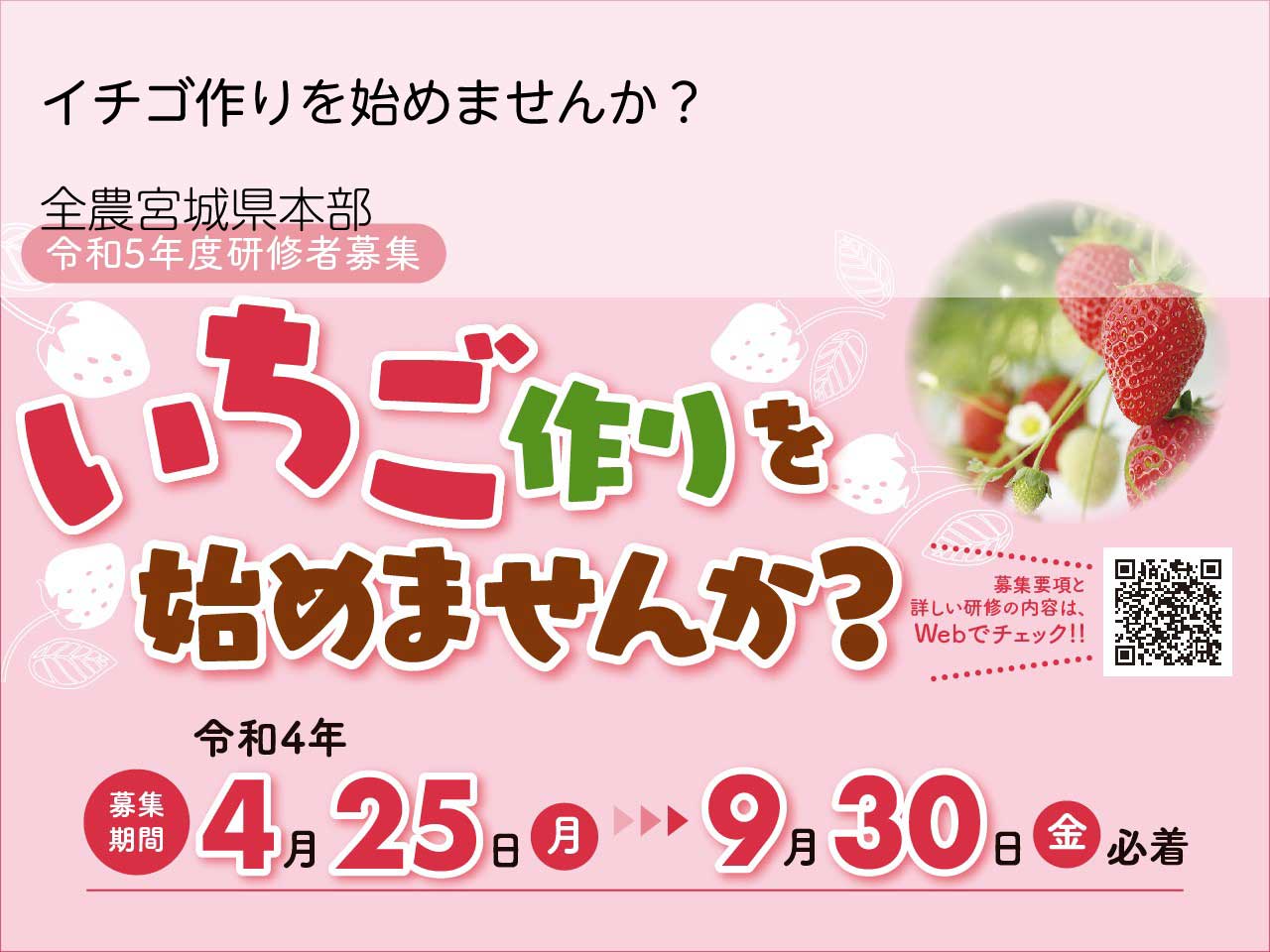 広告：全農宮城県本部／イチゴ作りを始めませんか？