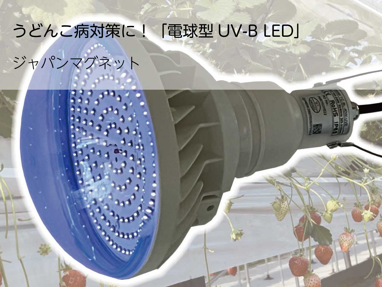 広告：ジャパンマグネット／うどんこ病対策に！「電球型UV-B LED」