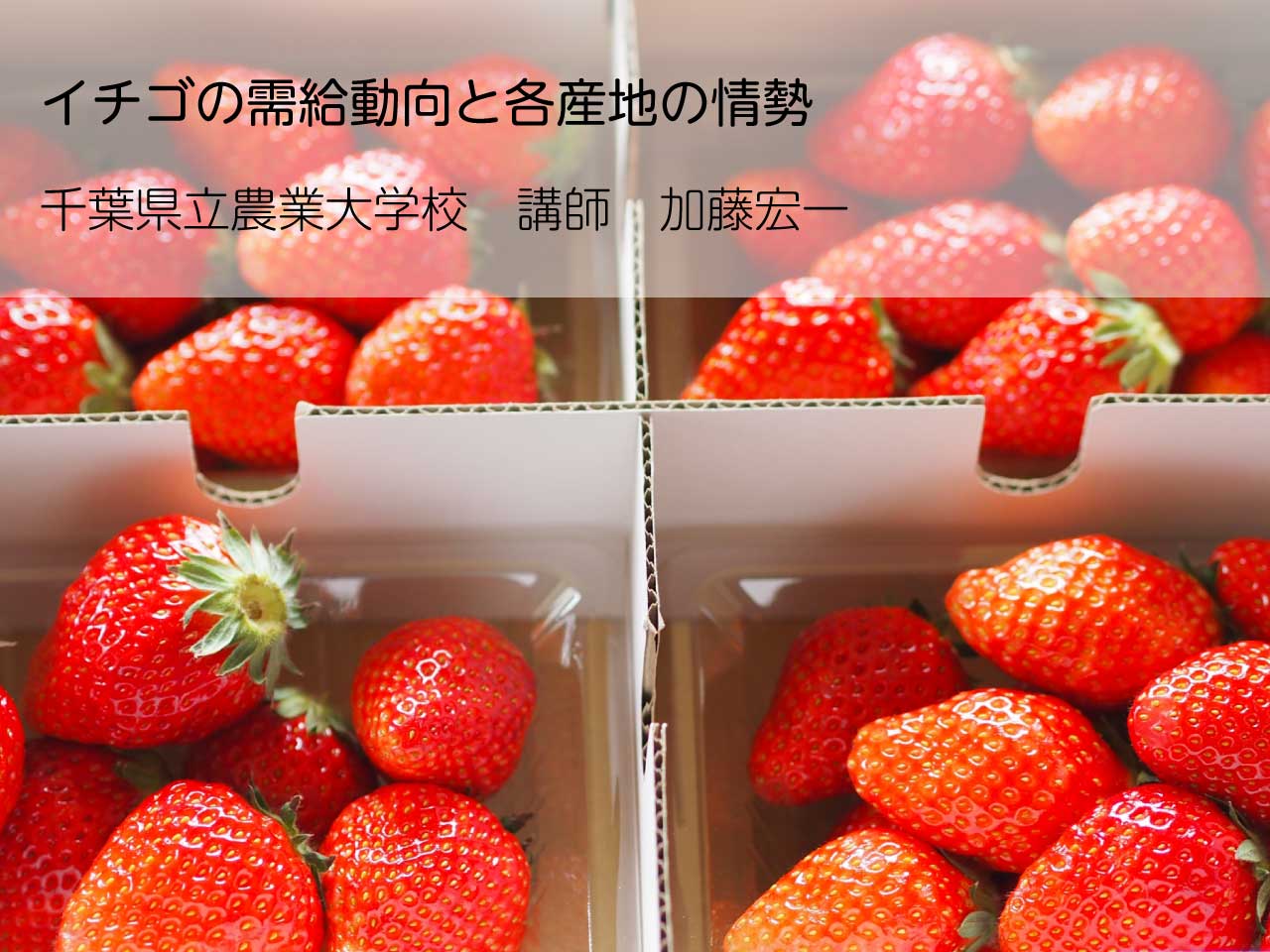 イチゴの需給動向と各産地の情勢／千葉県立農業大学校　講師　加藤宏一