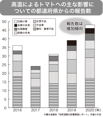 高温によるトマトへの主な影響についての都道府県からの報告数