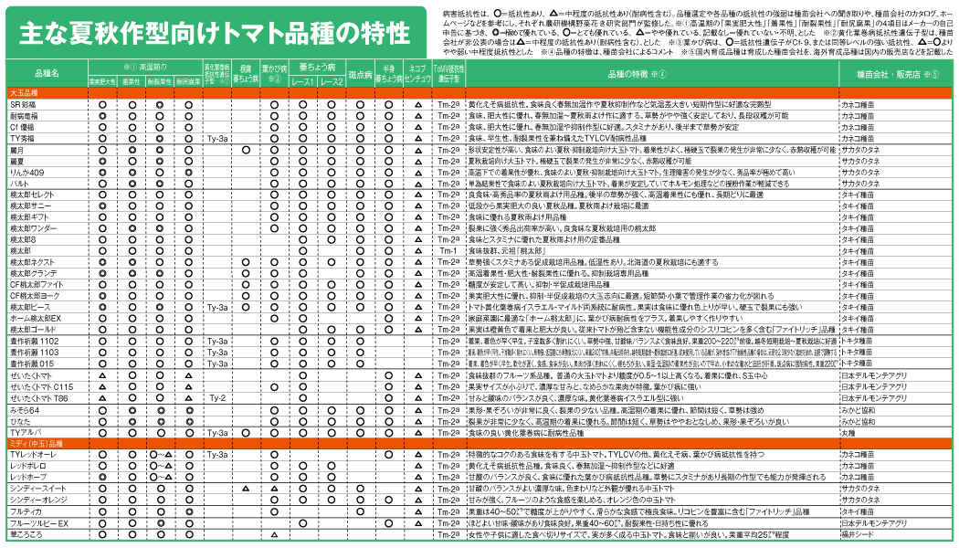 主な夏秋作型向けトマト品種の特性1