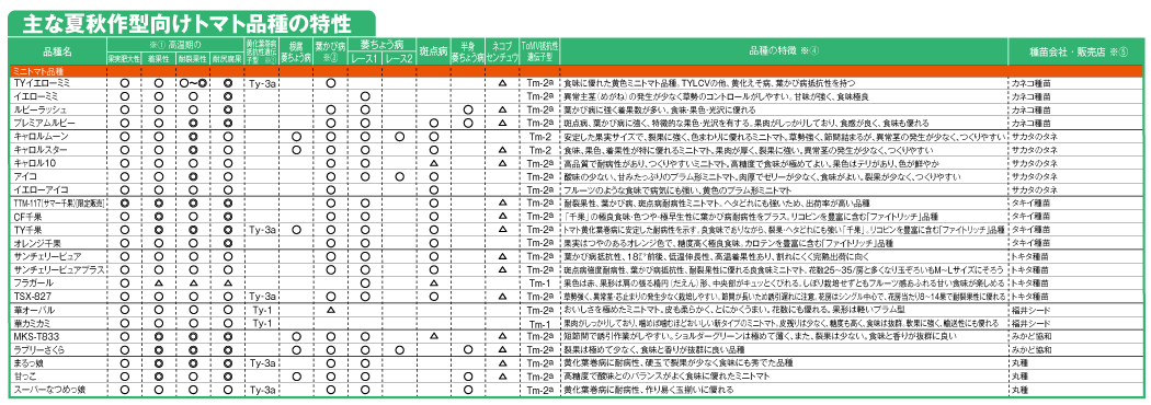 主な夏秋作型向けトマト品種の特性2