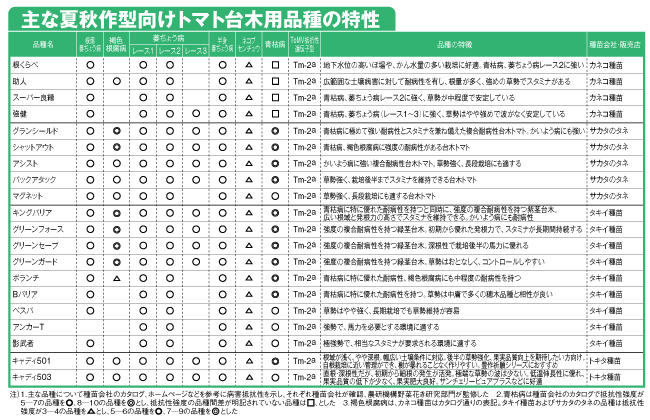 主な夏秋作型向けトマト台木用品種の特性