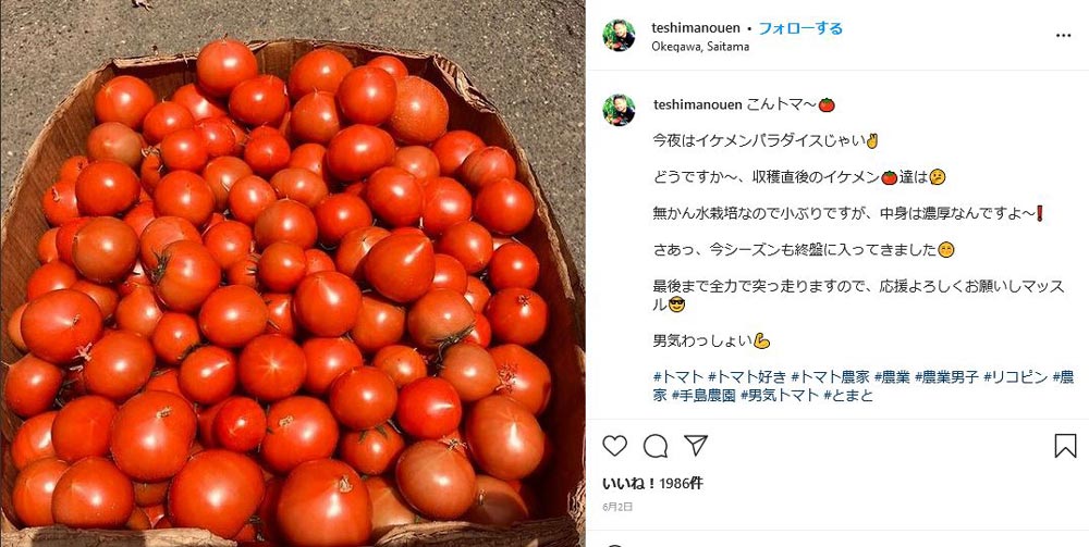 収穫したトマトの投稿に2000件近い「いいね！」がつく