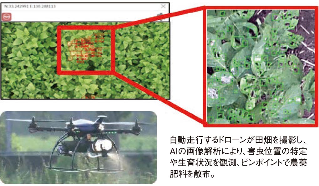 自動走行するドローンが田畑を撮影し、AIの画像解析により、害虫位置の特定や生育状況を観測、ピンポイントで農薬肥料を散布。