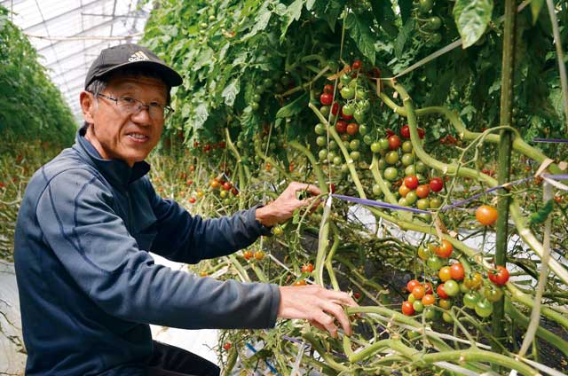 新規就農者の力引き出す“育成先進地”／静岡県・ＪＡ伊豆の国　果菜委員会