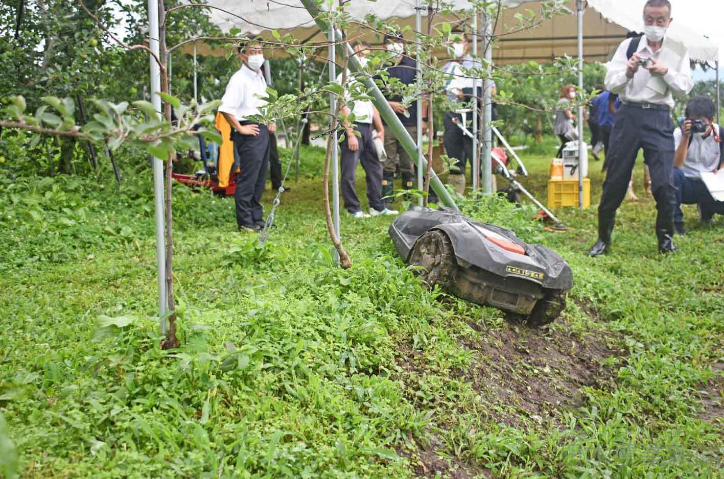 リンゴの高密植矮化栽培 ロボット芝刈り実演 全農長野 日本農業新聞 リンゴの高密植矮化栽培 ロボット芝刈り実演 全農長野 日本農業新聞