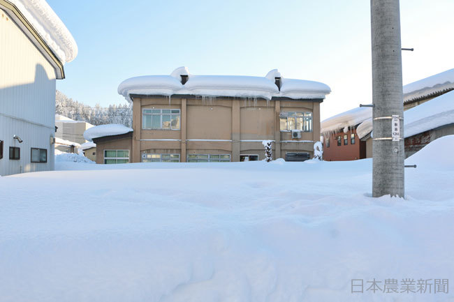 今冬 降雪量に地域差 平年の倍 一方で半分以下も 日本農業新聞