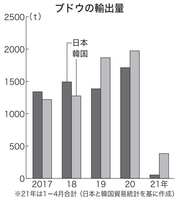 韓国産ブドウ輸出攻勢 流出 シャイン 9割 日本産と競合も 日本農業新聞 韓国産ブドウ輸出攻勢 流出 シャイン 9割 日本産と競合も 日本農業新聞