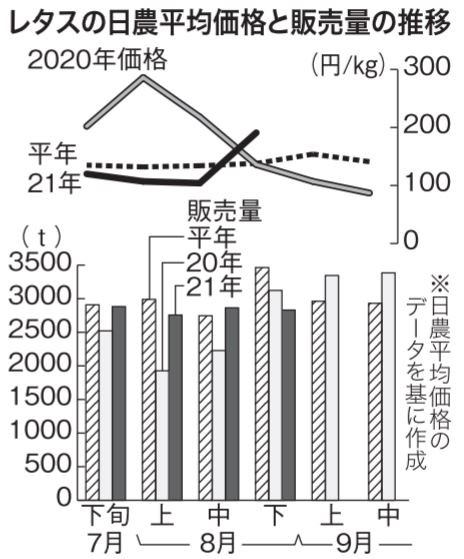 レタス品薄４割高 天候不順で生育停滞 日本農業新聞