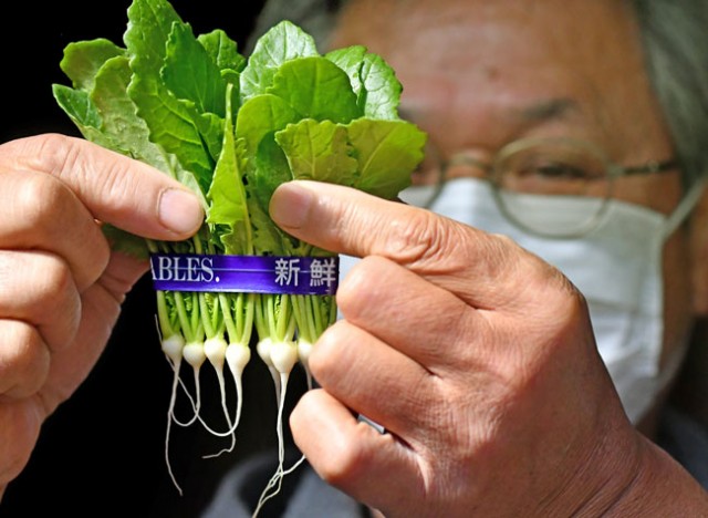 活写 極小 希少 継承 江戸東京野菜の芽カブ 日本農業新聞