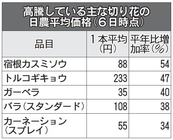 切り花が４月も異例の高値 バラ４割高 カスミソウ５割高 品薄長期化で業界常識崩れる 日本農業新聞