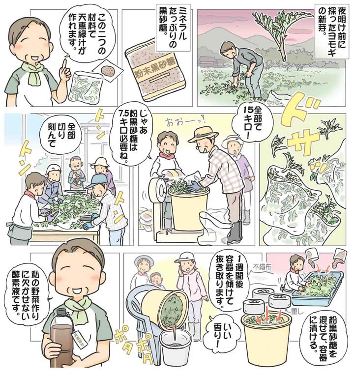 おまかせ菜園フクダ流］天恵緑汁 野菜を元気にする味方 / 日本農業新聞