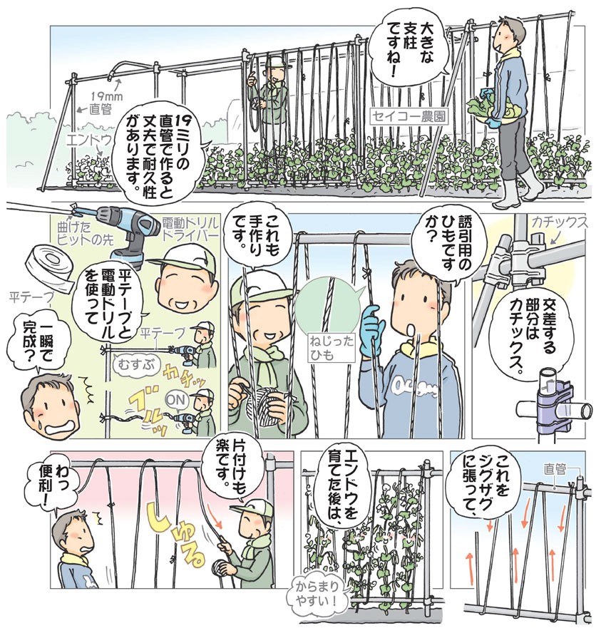 おまかせ菜園フクダ流 支柱立て 便利で簡単 平テープ 日本農業新聞