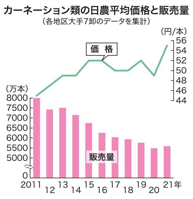 ヒットのタネ］カーネーション ４色詰め合わせ 小売り視点に定評 福岡