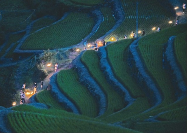 あんぐる 実り祈り 光再び 中山千枚田 虫送り 香川県小豆島町 日本農業新聞