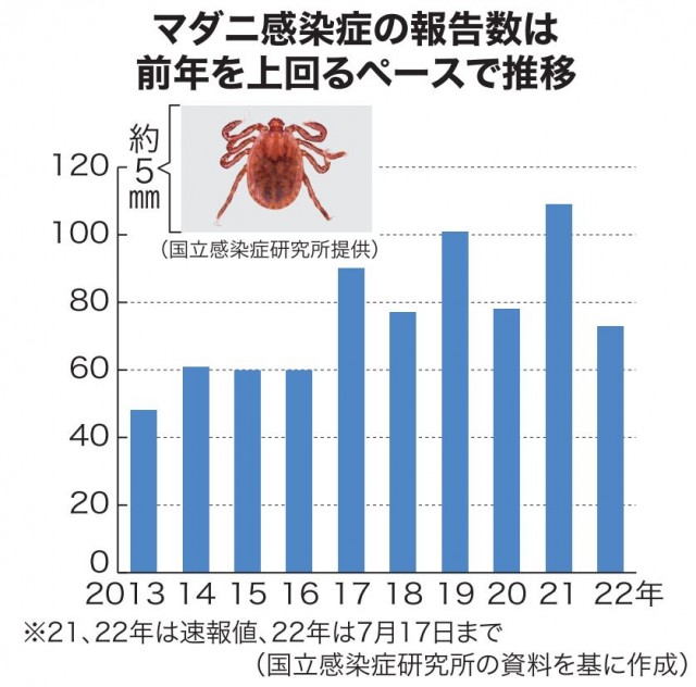マダニに注意 感染症過去最多ペース 晴天多く活発に 農作業で肌露出避けて 日本農業新聞