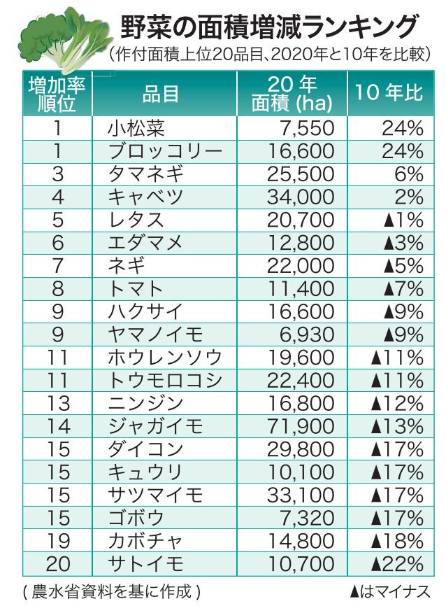 小松菜 ブロッコリー首位 野菜面積増減ランキング 日本農業新聞