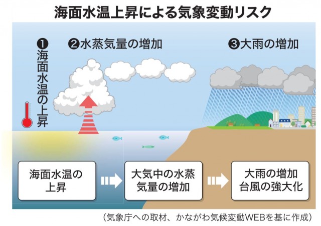 日本周辺の６ ８月平均水面温度 過去最高タイ 温暖化に加え日射量多く 日本農業新聞