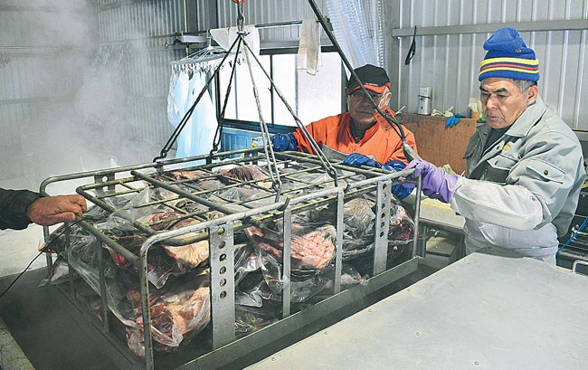 解体した鹿肉を低温加熱殺菌する「野生動物命のリレーPJ」のスタッフ（愛知県東栄町で）