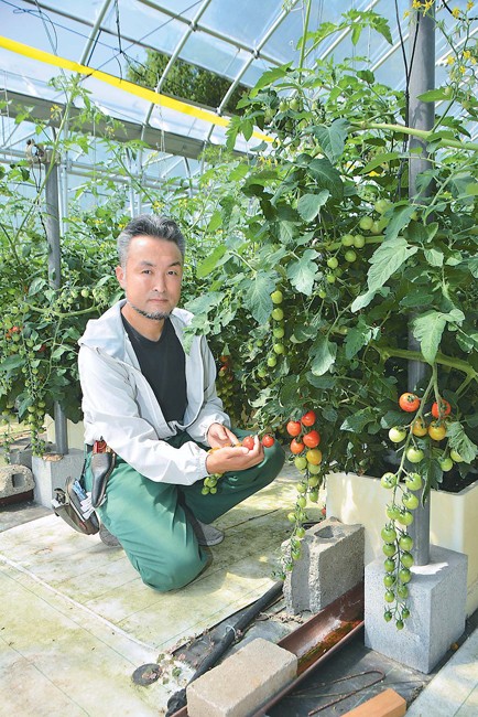 「うぃずOne」を利用しミニトマトを栽培する佐藤さん