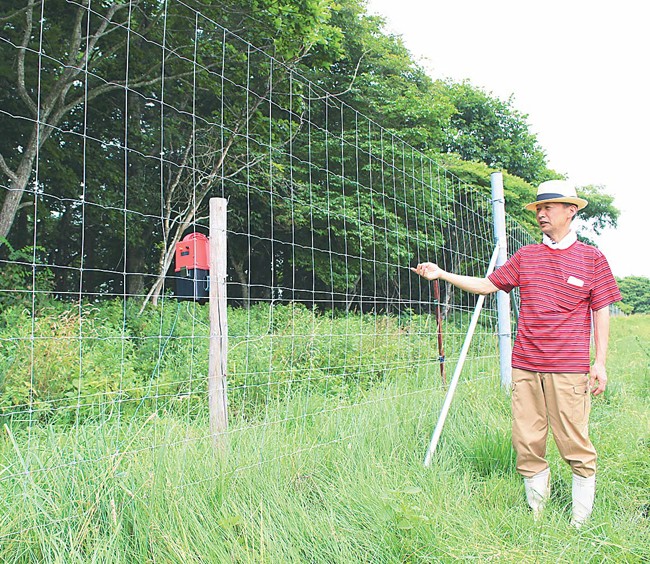 ＯＳＯ１８の被害を受けて電気柵とフェンスを設置した小野寺さん（北海道厚岸町で）