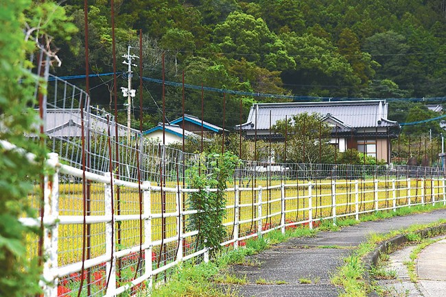 イノシシと鹿の侵入を防ぐため農地に巡らされたフェンス（長崎県対馬市で）