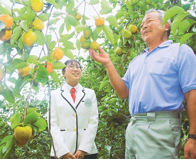柿の成熟に期待を寄せる佐藤部会長（右）とJ―FAPメンバー（福島県伊達市で）