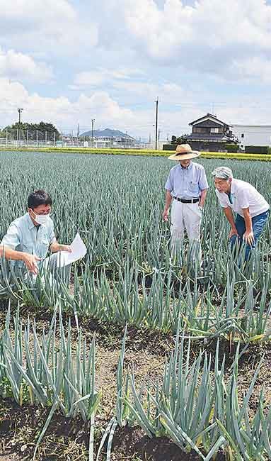 研修会で「忍葱」の生育状況を確認するJA指導員と生産者ら（滋賀県甲賀市で）