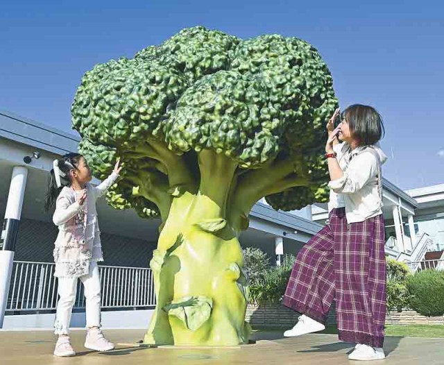活写］栄養たっぷり 映えばっちり / 日本農業新聞