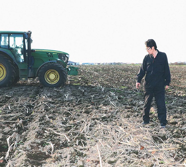 ヒグマの食害を受けた飼料用トウモロコシの畑を確認する佐々木さん（北海道厚岸町で）