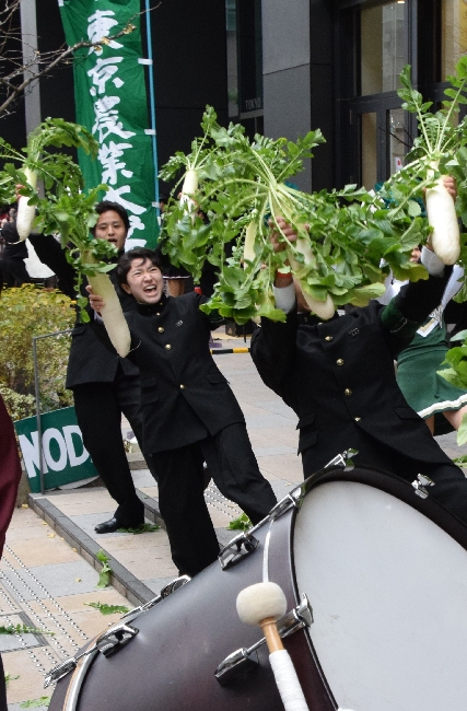 「大根踊り」で選手を応援する東京農業大学応援団（3日、東京都中央区で）
