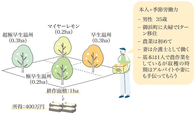 三重県御浜町がＰＲサイト「青を編む」で紹介するミカン農家モデルの例（同町資料を基に作成）