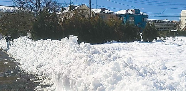 道路の雪を無断で入れられてしまった畑（２０１４年撮影、投稿者提供）に