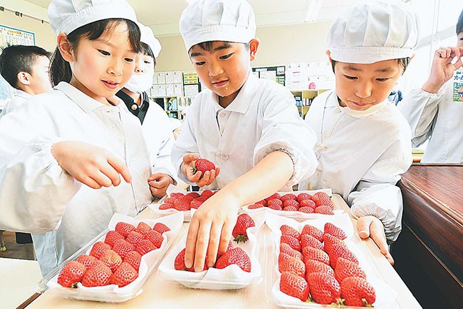 待ちに待った「あまおう」に喜ぶ児童（福岡県柳川市で）