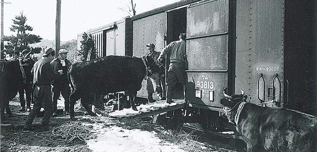 「米沢牛」を東京に向けて列車に積み込む畜産農家ら（山形県飯豊町の生産者提供）