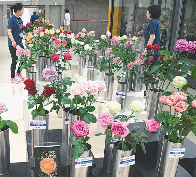 「ローズの日」に向けた過去最大規模の展示で、１０県２４産地が主なバラ品種をＰＲした（東京都大田区で）