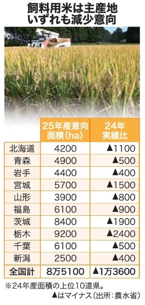 極小粒砕米 袋込25kg 鳥の餌 飼料 えさ エサ くず米 お得 安い